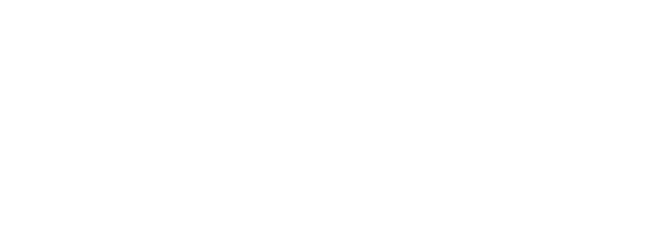 The Flock XR by Flip Computing logo.